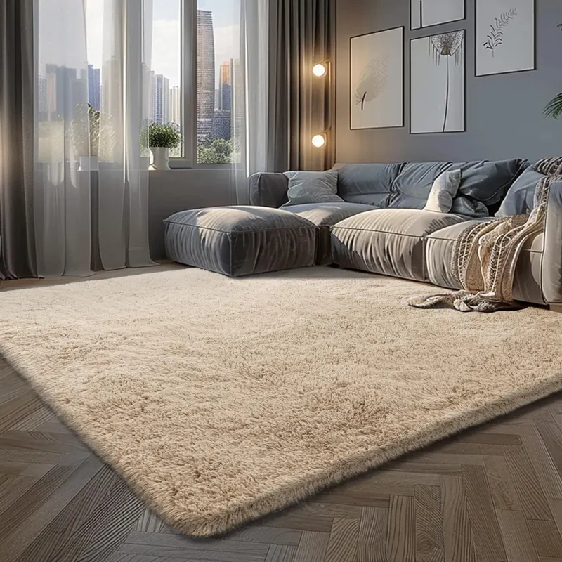 Beige shaggy area rug in a modern living room