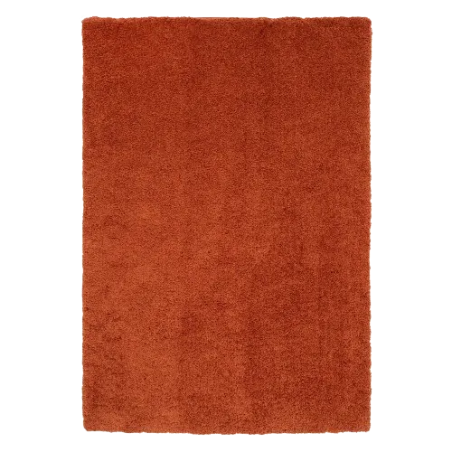 Burnt orange shaggy rug.
