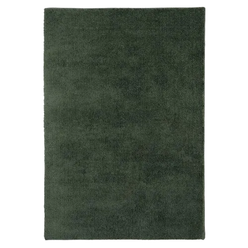 Eden green shaggy rug.