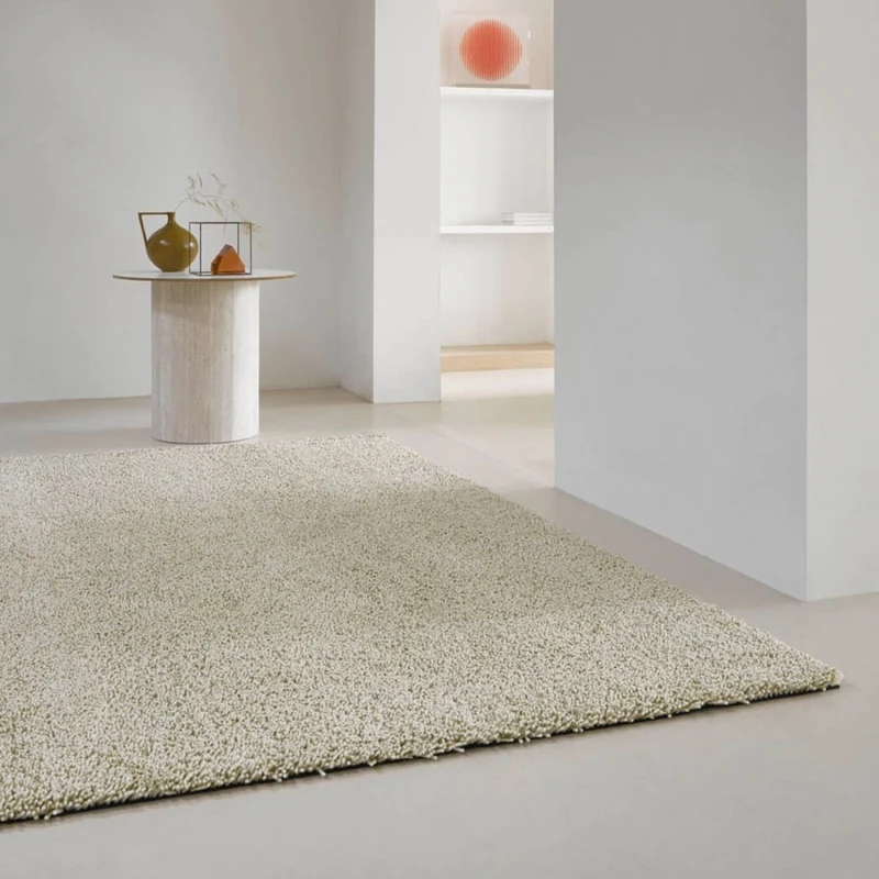 Light beige shaggy rug in a minimalist room.