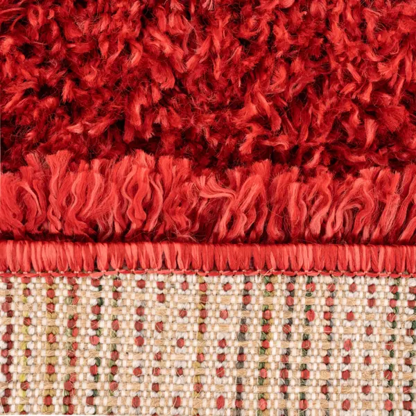 Red shaggy rug.