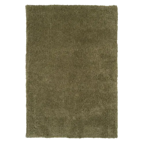 Willow green shaggy rug.